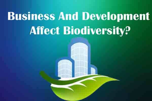 How Do Business And Development Affect Biodiversity?